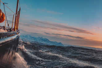 Navigating the Path to Growth